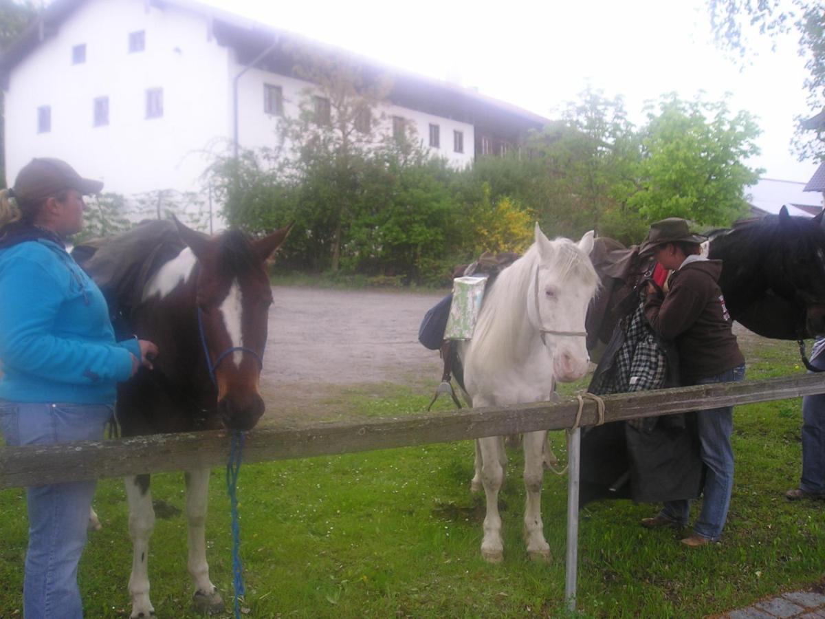 Gasthaus Zum Spaeth Englmannsberg Zewnętrze zdjęcie